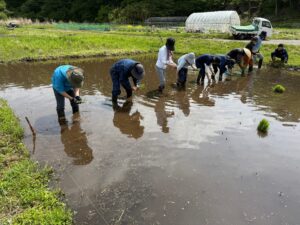 株式会社 FunFarm