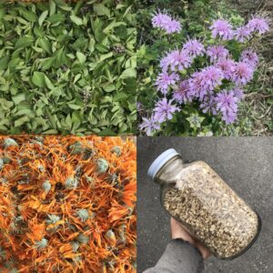 パーマカルチャー望月（ル・ポタジェ・デ・セル）