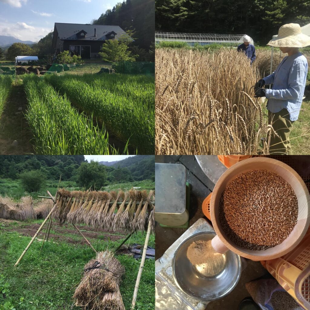 permaculture-mochizuki