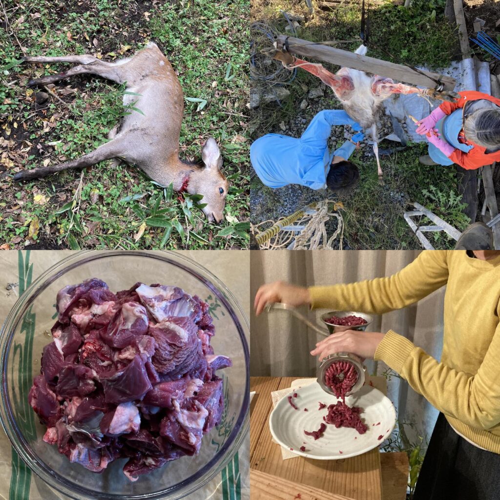 permaculture-mochizuki