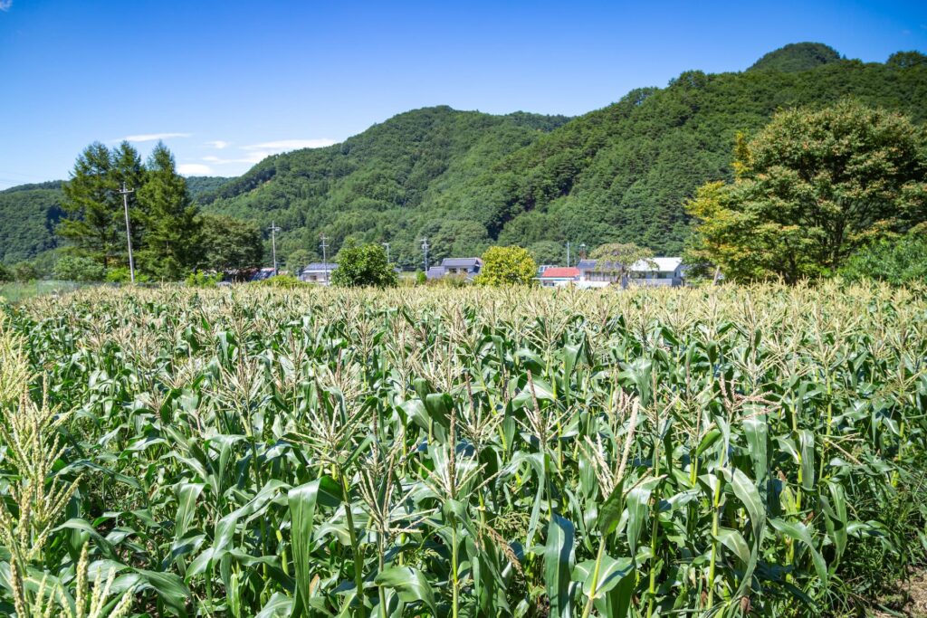 tsunagari-shizennouen