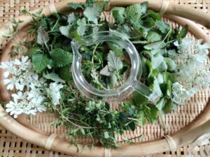 山の中ガーデン小径